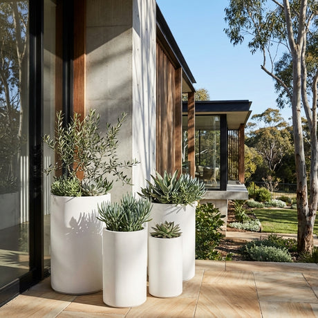 Four White Harper Cylinder Pots in various sizes, made from weather-resistant fibreglass, showcase succulents and greenery to add modern charm beside the glass-walled house.