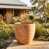 The Terracotta Egg Shaped Pot (various sizes available) adds style to your patio or garden. Its breathable clay ensures healthy root growth and natural drainage, with a house and plants as the perfect backdrop.