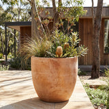 The Terracotta Egg Shaped Pot—available in various sizes—adds style on a stone patio with native Australian plants; its breathable clay complements the modern wooden house in the background.