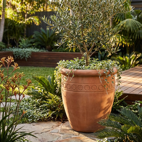 Extra Large Terracotta Pot (47 x 39cm) with a leafy plant placed in a lush garden next to a wooden deck and stone path.