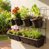 Vertical garden featuring Charcoal Outdoor Garden Up Pot - 495mm, filled with flowering and leafy plants, mounted on a sunlit wall.