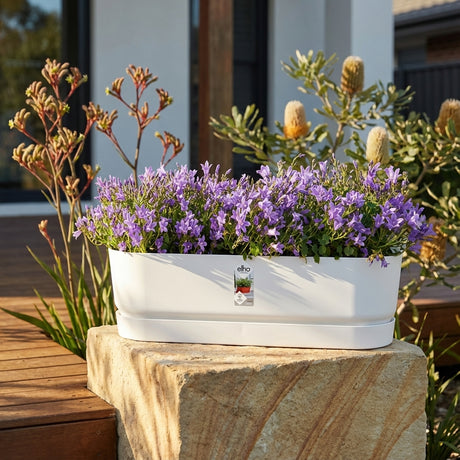The Greenville Self Watering Plant Pot, filled with blooming purple flowers, sits on a stone in a sunny garden setting. Various sizes available.