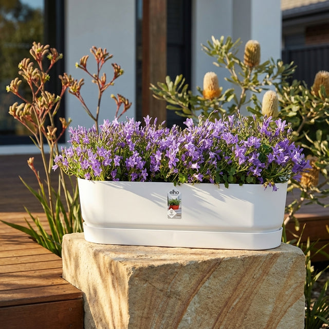 The Greenville Self Watering Plant Pot, filled with blooming purple flowers, sits on a stone in a sunny garden setting. Various sizes available.