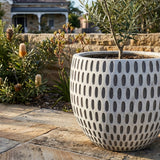 An X large Grey White Grid cement pot (700mm x 590mm) with a small tree sits on a stone patio, garden plants around it and a house in the background.