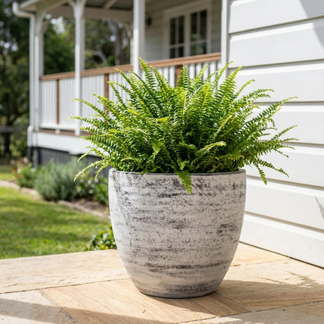 A lush green fern in an Antique White Cafestyle Egg Pot sits on a patio near a house with a porch.