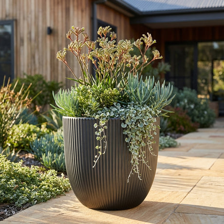 A Black Armour Self Watering Egg planter with assorted succulents sits on a sunny patio near a modern wood-sided house.
