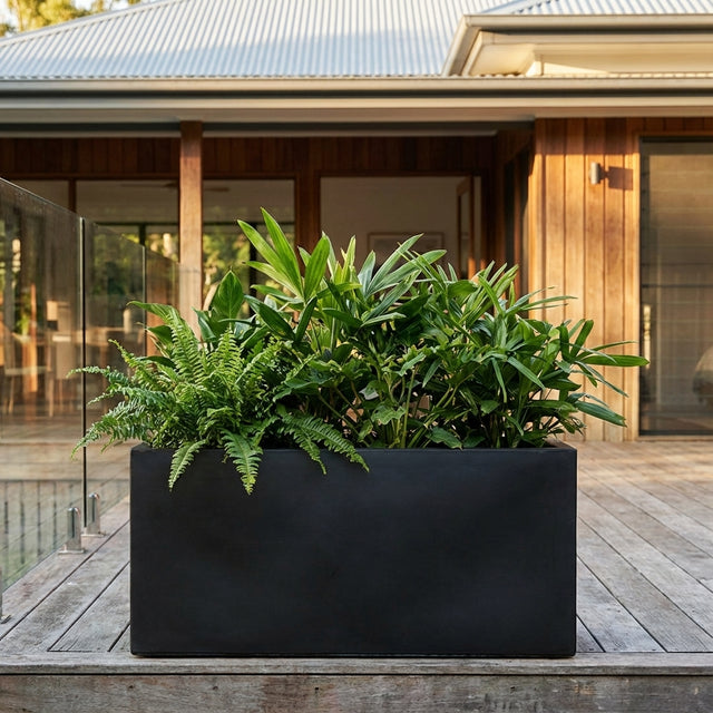 The Black Emmerson Trough, available in various sizes, is a weather-resistant rectangular planter that adds a sleek touch to contemporary outdoor spaces with lush greenery.