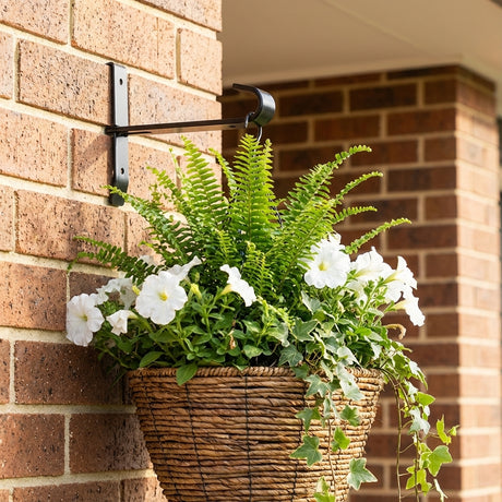 A woven hanging basket with ferns and white flowers is attached to a brick wall outside a building using the Black Hanging Basket Lock In Brick Hook.