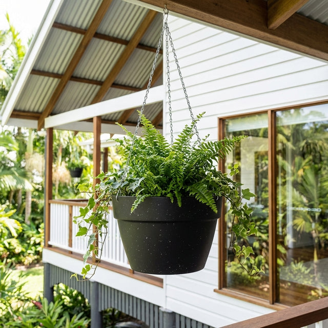 A Black Self-Watering Hanging Basket (available in various sizes) with vibrant green ferns hangs on the porch of a white house with wooden accents.