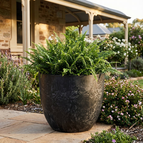 The Black Stone Art Egg Pot XLarge (550mm x 450mm) is perfect for displaying lush greenery and adds elegance to any patio or garden space.