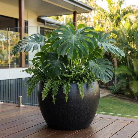 Large monstera and ferns in the Black Terrazzo Moon Bowl (various sizes) on a wooden deck with a glass railing and lush greenery. This stylish bowl adds modern elegance to any indoor or outdoor space.