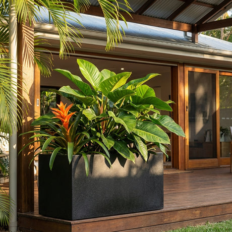 Large potted tropical plant with lush green leaves and an orange flower in the Black Terrazzo Trough sits on a wooden patio by sliding glass doors. Various sizes available.