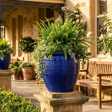 A Blue Holland Planter—available in various sizes—filled with ferns and trailing plants rests on a stone pedestal beside a wooden bench.