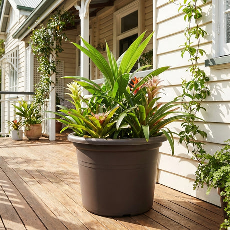 Large potted tropical plants in Brown Lightweight Cylinda Planters (available in various sizes) brighten a sunny wooden porch outside a white house, surrounded by lush greenery and trailing vines.
