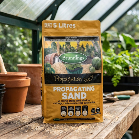 A 5L bag of Brunnings 5L Propagation Sand rests on a potting bench in a greenhouse among pots and plants—perfect for propagating cacti, orchids, and other plants.