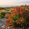 Slim™ Bottlebrush