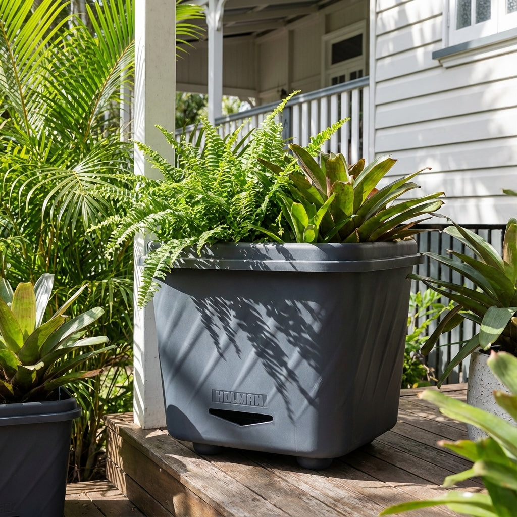 A Charcoal Large Square Self Watering Pot, filled with ferns and bromeliads, sits on a wooden deck near a white house and lush greenery.