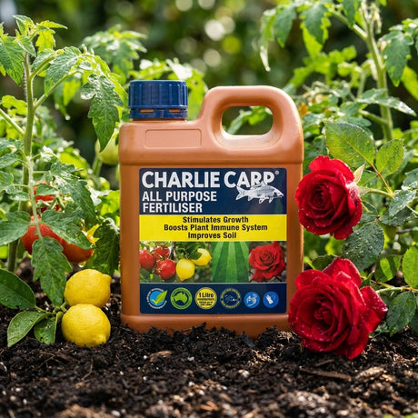 A bottle of Charlie Carp 1L All Purpose Concentrate Fertiliser sits in a garden among tomato plants, roses, and lemons.