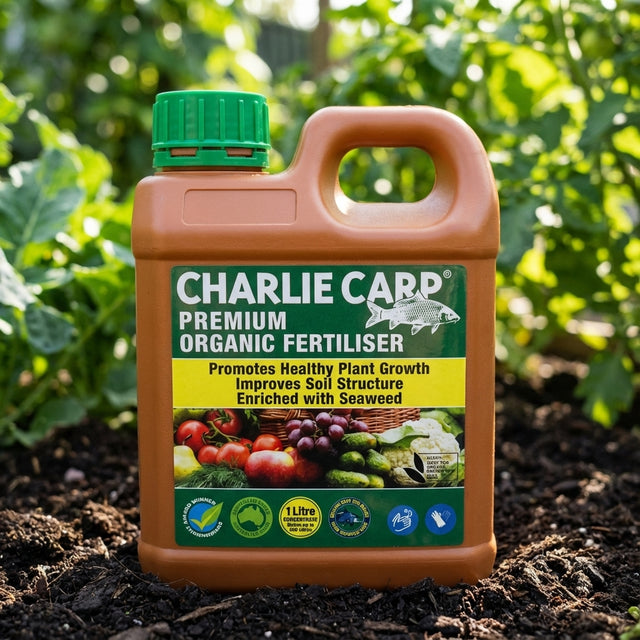 A bottle of Charlie Carp organic fertilizer sits on soil beside a Tumbleweed 400L Gedye Compost Bin in a lush garden, where green plants thrive in the background.