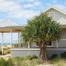 Coastal Screw Pine