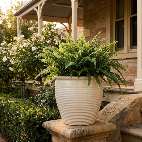 A lush fern in a Cream Holland Planter—available in various sizes—stands on a stone pillar near a flower-filled porch, its high-lustre glazed finish gleaming.