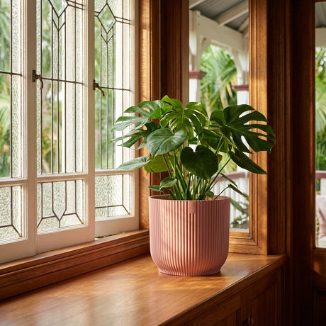 A monstera plant sits in a Delicate Pink Vibes Indoor Plant Pot (various sizes available) on a wooden windowsill beside a glass window.