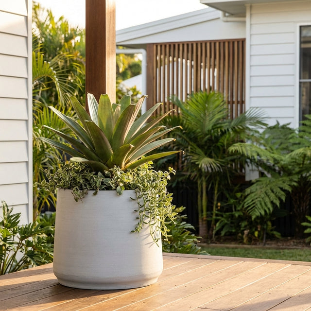 A large succulent in a Fibre Stone Round Planter (450mm x 380mm) sits on a wooden deck, surrounded by tropical plants with a modern house in the background.
