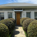 Modern house entrance with a wooden door, framed by Firescreen Lilly Pilly (Syzygium australe 'Firescreen' Acmena) hedges and frosted windows on both sides for privacy.