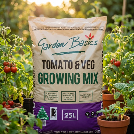 A bag of Garden Basics 25L Tomato And Vegetable Growing Mix is placed among potted tomato plants, providing the perfect potting mix for successful container gardening.