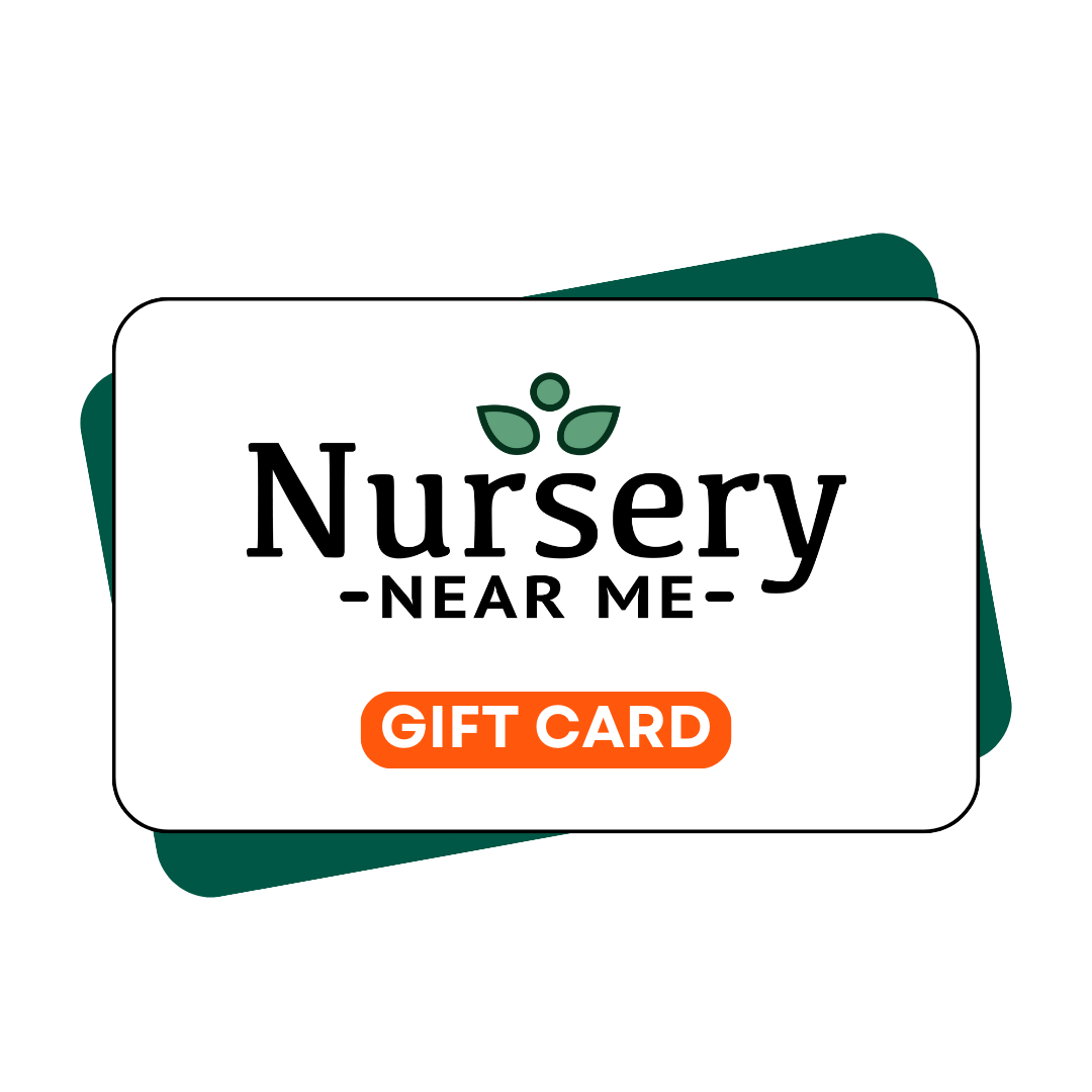 eGift Card