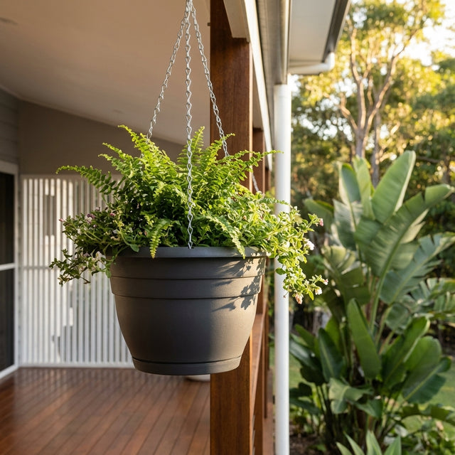 A Graphite Hanging Basket (various sizes available) displayed on a porch, weather resistant and perfect for showcasing lush green fern foliage with trees in the background.