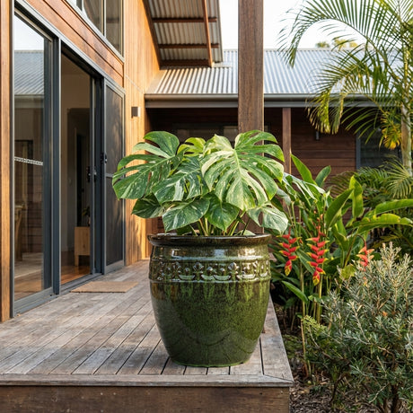 A Green Studded Pot (various sizes) with a potted monstera sits on a wooden porch outside a modern house surrounded by a lush tropical garden.