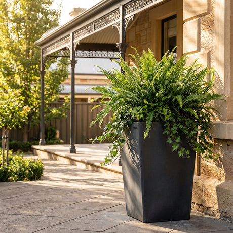 A Grey Tall Square Planter (300mm) filled with lush ferns and ivy sits on a sunlit stone patio, blending modern style with classic elegance beside a house with ornate trim. Various sizes available.