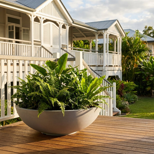 Large potted ferns in Grey Tapered Low Bowl Planters line a wooden deck in front of a white house with a wraparound porch. Various sizes available.