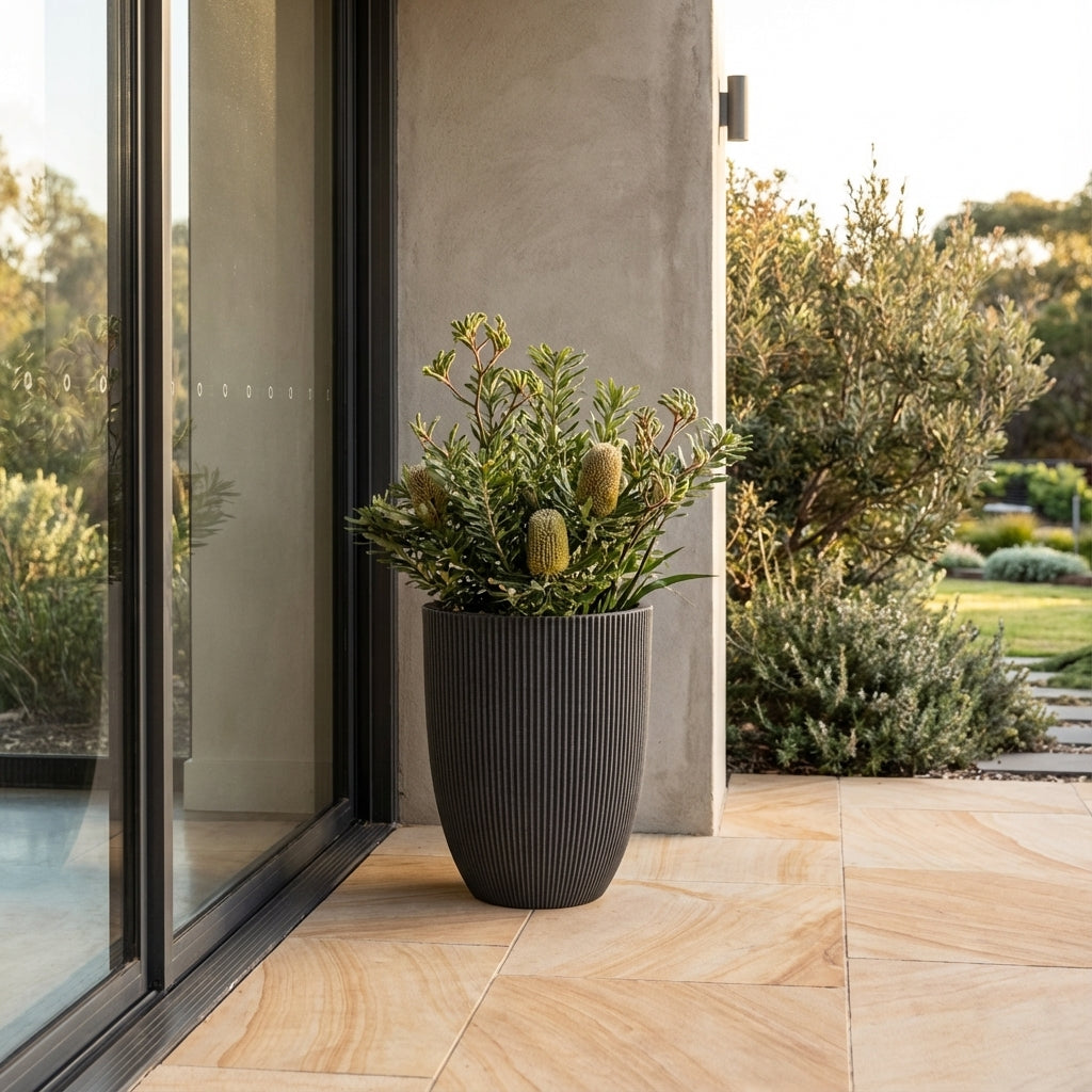pot plants australia Groove Outdoor Plant Pot - Various sizes available