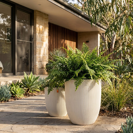 Two large Groove Outdoor Plant Pots in white, filled with lush green ferns, are placed on a stone patio outside a modern house.