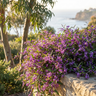 Meema™ Hardenbergia
