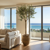 Sunlit room with a potted Manzanillo Olive Tree, white couches, and large windows offering beach and ocean views.