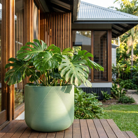 A large monstera in a Mint Gavin Planter (various sizes available) sits on a wooden table outside a modern home, with a lush garden in the background.