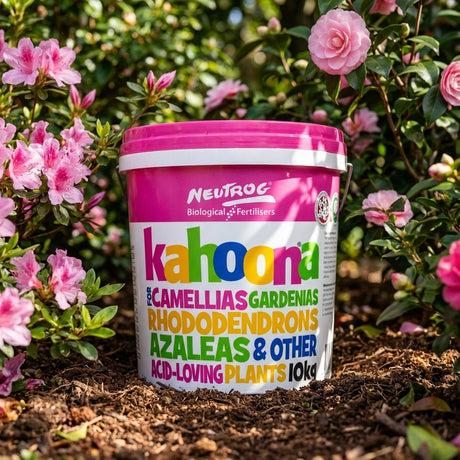 A 10kg Neutrog Kahoona Garden Fertiliser bucket sits among blooming pink azalea flowers in a garden.