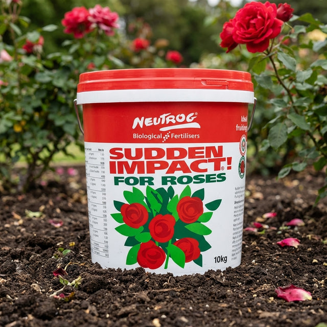 A 10kg tub of Neutrog Sudden Impact For Roses Fertiliser sits on garden soil among blooming red roses.