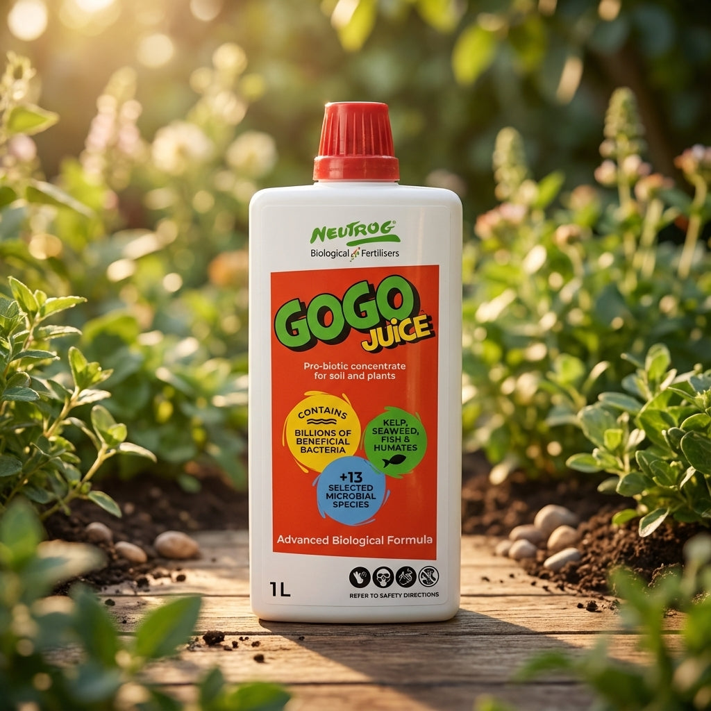 A 1L bottle of Neutrog Gogo Juice Liquid Concentrate sits outdoors among green foliage, enhancing soil health with beneficial microbes for plants.
