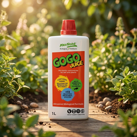 A 1L bottle of Neutrog Gogo Juice Liquid Concentrate sits outdoors among green foliage, enhancing soil health with beneficial microbes for plants.