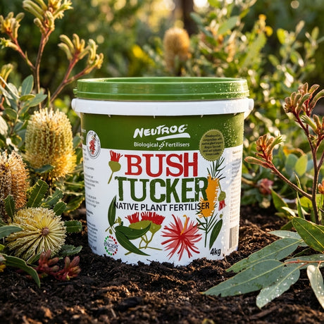 A 4kg tub of Neutrog Bush Tucker Native Fertiliser, a low phosphorus formula, sits on soil among lush Australian native plants.