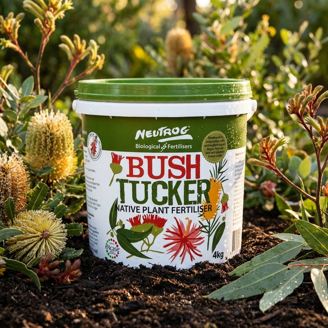 A 4kg tub of Neutrog Bush Tucker Native Fertiliser, a low phosphorus formula, sits on soil among lush Australian native plants.