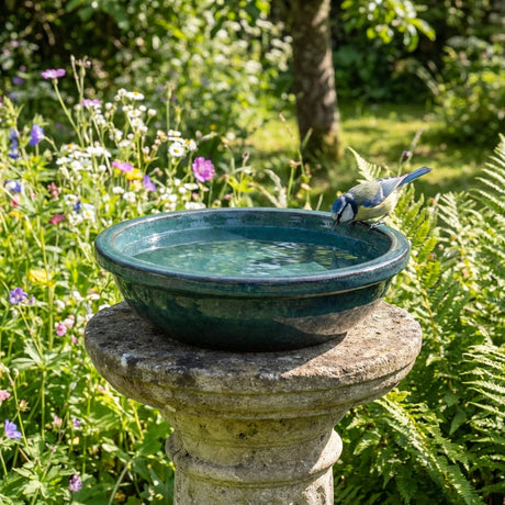 A small blue bird drinks from the Northcote Pottery 60cm Cream Miami Bird Bath, a charming garden feature nestled among wildflowers and lush greenery.