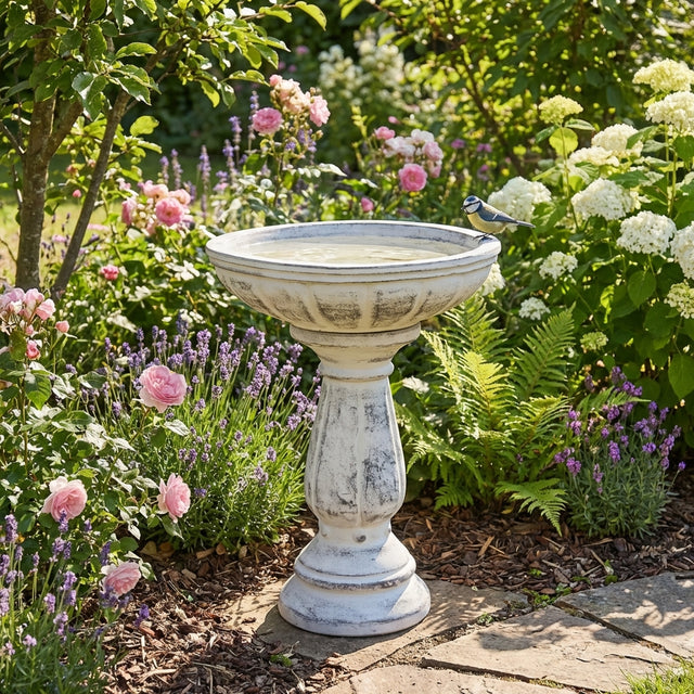 The Northcote Pottery Terracotta Cottaseal Bird Bath Bowl (47 x 11cm) sits in a vibrant flower garden, surrounded by blooming roses and fragrant lavender.