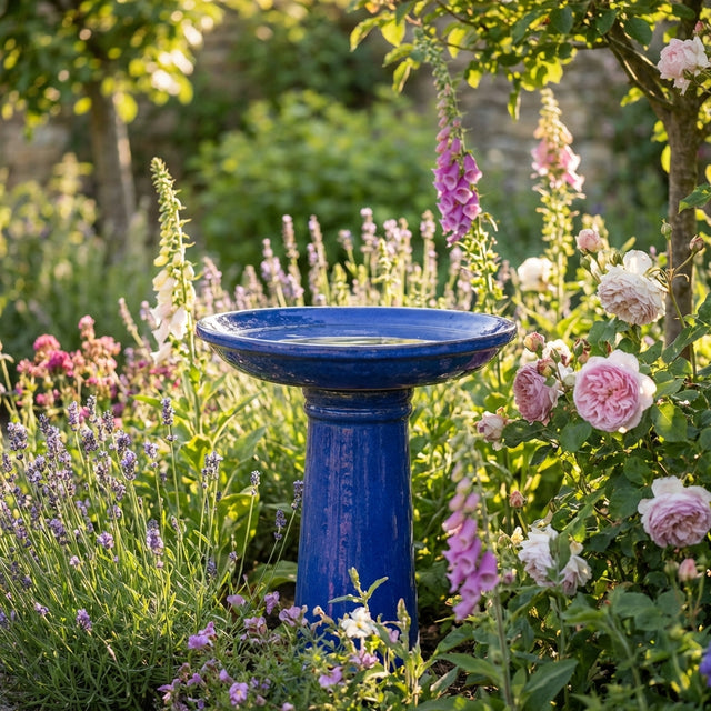A blue birdbath stands among blooming pink, purple, and white flowers in a sunny garden, bordered by fresh Lettuce-All Year Round.