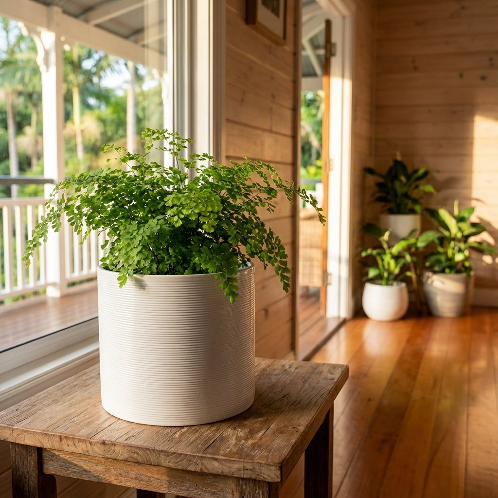 A green fern in the Panna Glazed Indoor Pot sits on a wooden table by a sunny window, surrounded by more plants in a cozy wooden room. Available in various sizes.