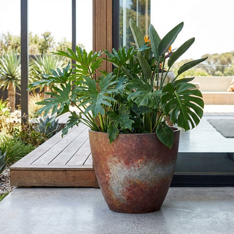 A large leafy houseplant in a Patina Egg Pot sits on a patio near a glass door, with outdoor plants visible in the background.